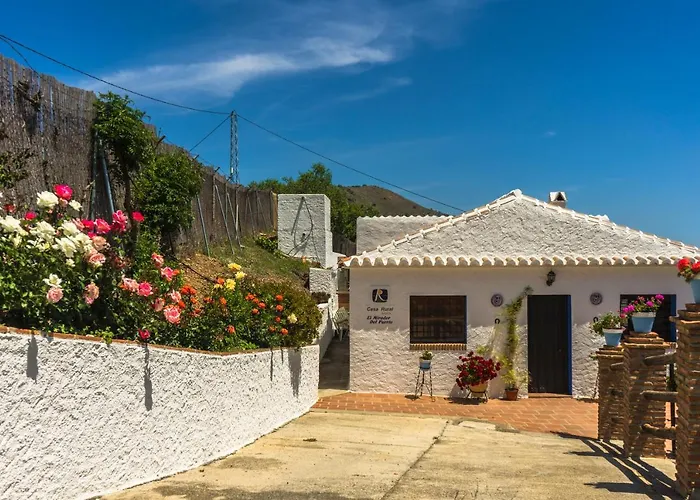 Winehouse With Big Pool, Bbq, Wifi, Close To Malaga