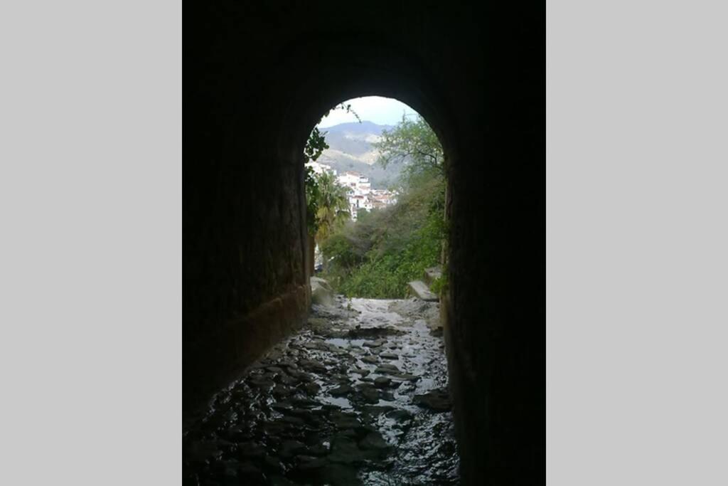 Lagar Andaluz Con Piscina Privada Borge