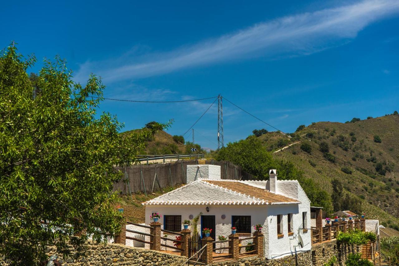Lagar Andaluz Con Piscina Privada Casa vacanze Borge